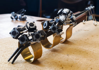 Ringschienen Test - Ringe Tari